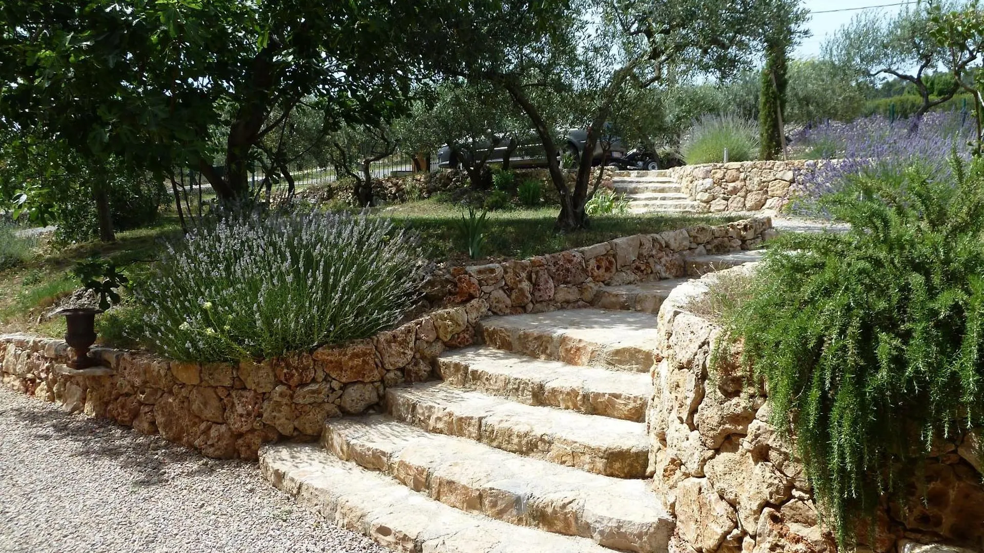 Mas De L'Olivette Bed & Breakfast Cotignac